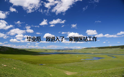 毕业后, 我进入了一家兽医站工作