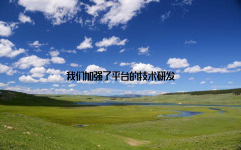 我们加强了平台的技术研发