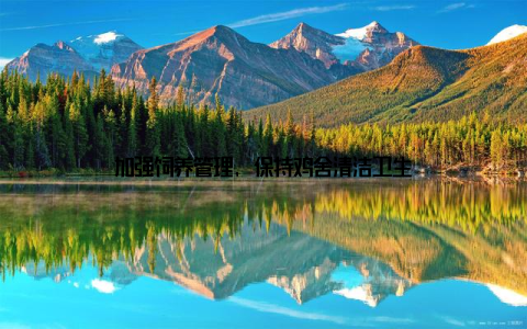 加强饲养管理, 保持鸡舍清洁卫生