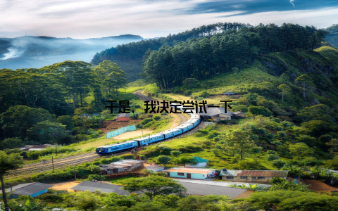 于是, 我决定尝试一下