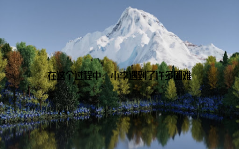 在这个过程中, 小李遇到了许多困难