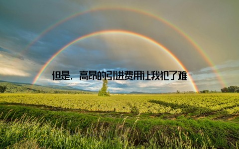 但是, 高昂的引进费用让我犯了难