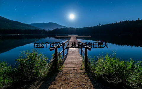 在这个过程中, 我深感责任重大