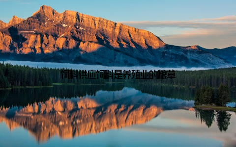 饲料供应饲料是养殖业的粮草