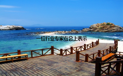 一位行业专家在会上表示