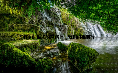 在乡村振兴的道路上, 我们砥砺前行