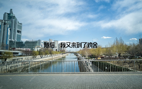 随后, 我又来到了鸡舍