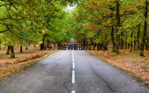 如今, 我的期盼变成了现实