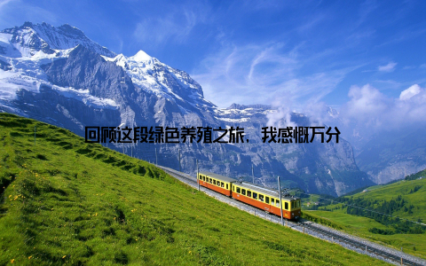 回顾这段绿色养殖之旅, 我感慨万分