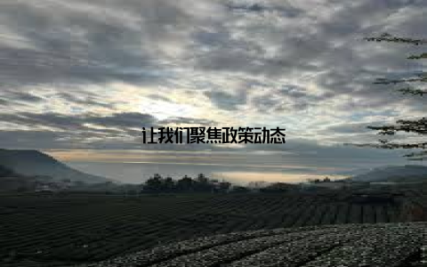 让我们聚焦政策动态