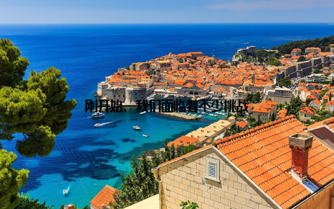 刚开始, 我们面临着不少挑战