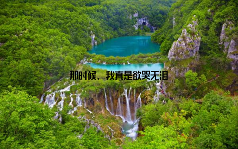 那时候, 我真是欲哭无泪