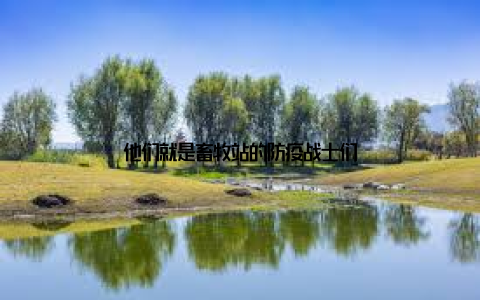 他们就是畜牧站的防疫战士们