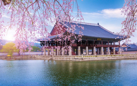 等待审核结果, 参加面试