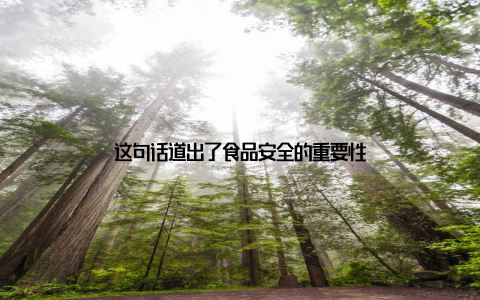 这句话道出了食品安全的重要性