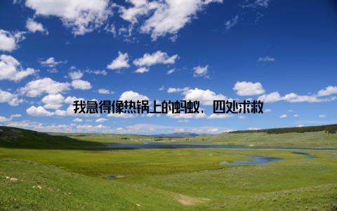 我急得像热锅上的蚂蚁, 四处求救