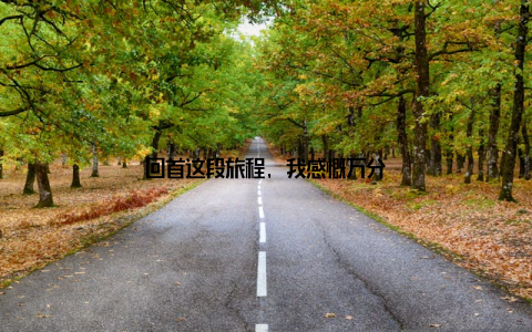 回首这段旅程, 我感慨万分