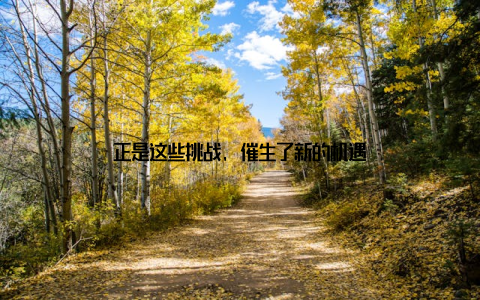 正是这些挑战, 催生了新的机遇