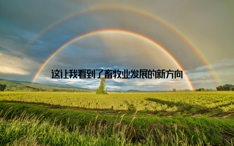 这让我看到了畜牧业发展的新方向