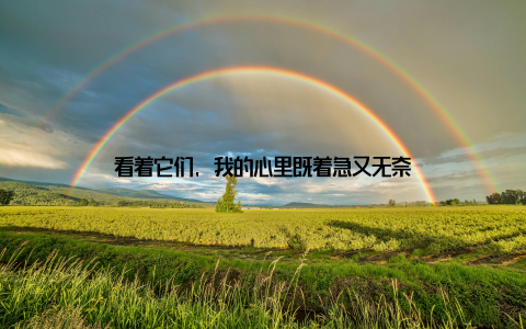 看着它们, 我的心里既着急又无奈