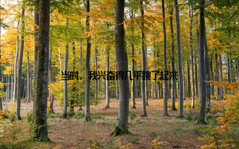 当时, 我兴奋得几乎跳了起来