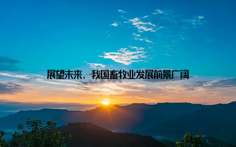 展望未来, 我国畜牧业发展前景广阔