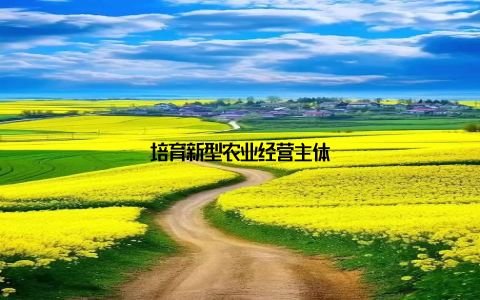 培育新型农业经营主体