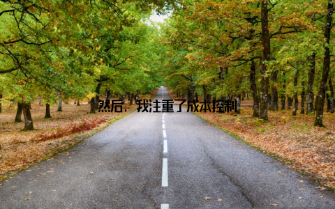 然后, 我注重了成本控制