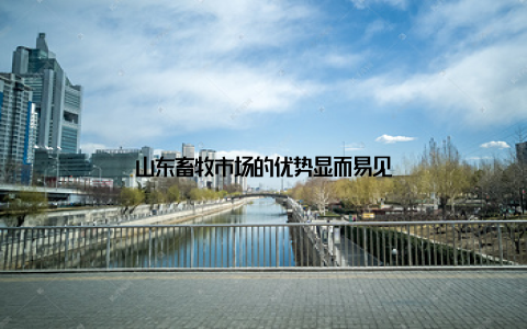 山东畜牧市场的优势显而易见