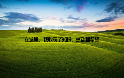 在这里, 我收获了知识、感动和希望