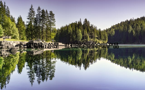 这里展示的是一些初创企业的创新产品