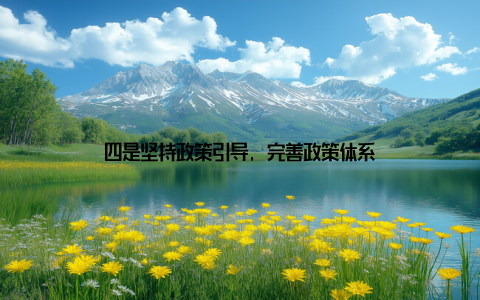 四是坚持政策引导, 完善政策体系