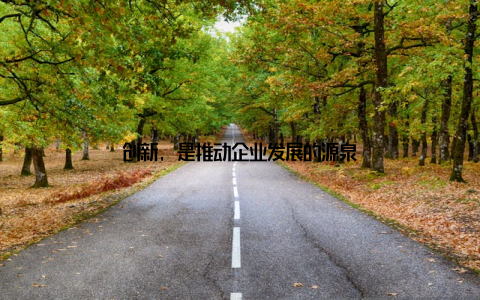 创新, 是推动企业发展的源泉