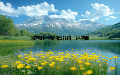 我想对所有的观众说一声感谢