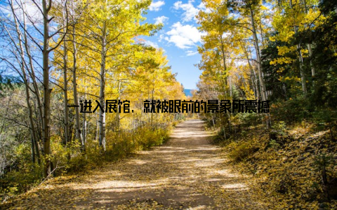 一进入展馆, 就被眼前的景象所震撼