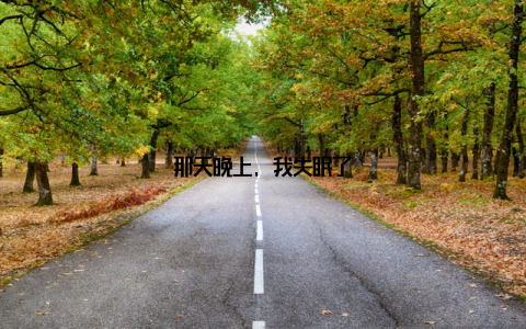 那天晚上, 我失眠了