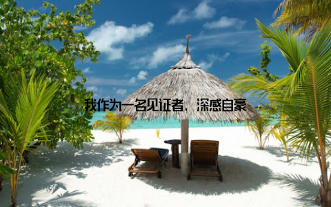 我作为一名见证者, 深感自豪