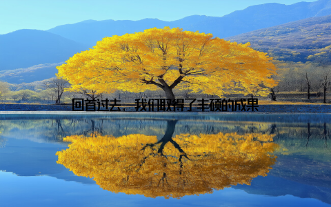 回首过去, 我们取得了丰硕的成果