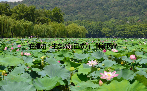 在禄劝, 生态养殖已成为一种新风尚