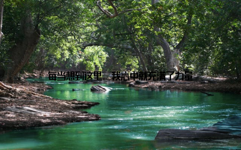 每当想到这里, 我心中就充满了力量