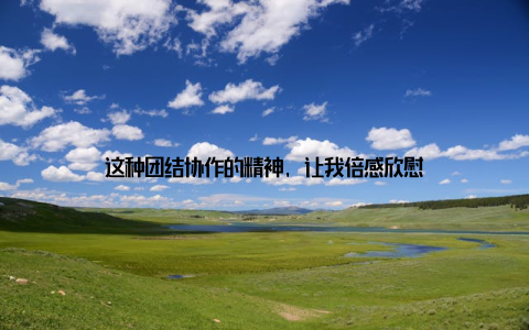 这种团结协作的精神, 让我倍感欣慰