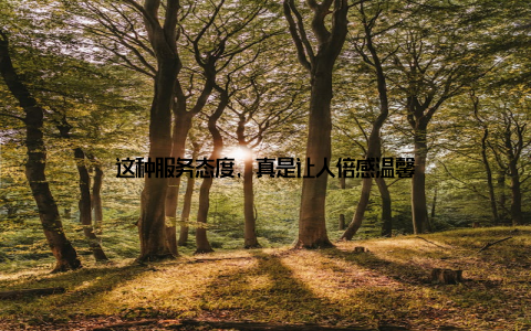 这种服务态度, 真是让人倍感温馨