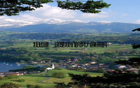 我知道, 这是我们的努力换来的