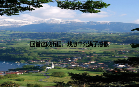 回首这段历程, 我心中充满了感慨