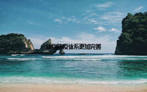 动物防疫体系更加完善