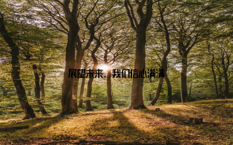 展望未来, 我们信心满满