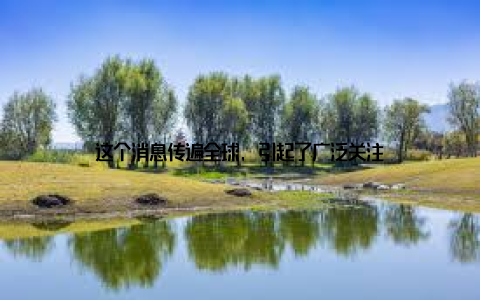 这个消息传遍全球, 引起了广泛关注