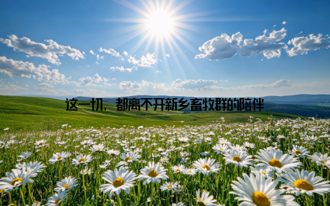 这一切, 都离不开新乡畜牧群的陪伴