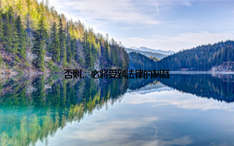 否则, 必将受到法律的制裁