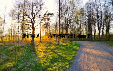 走进会场, 一片热烈的气氛扑面而来